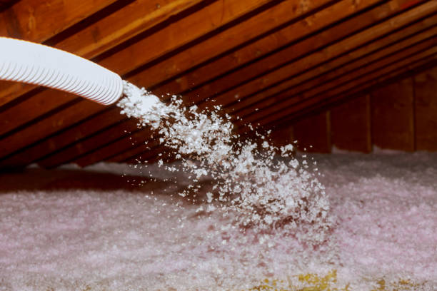  Laureles, TX Insulation Contractor Pros