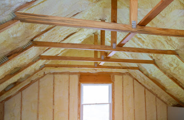 Types of Insulation We Offer in Laureles, TX