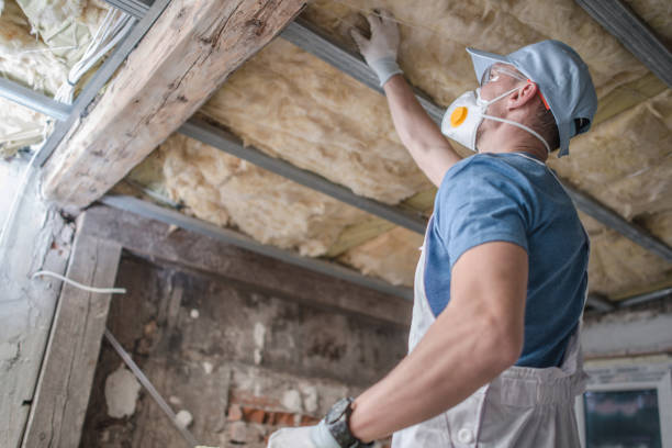 Best Eco-Friendly Insulation in Laureles, TX