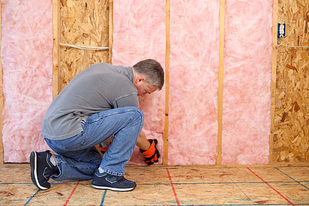 Best Cellulose Insulation in Laureles, TX