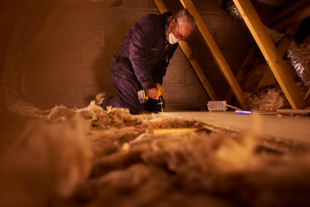 Best Spray Foam Insulation in Laureles, TX